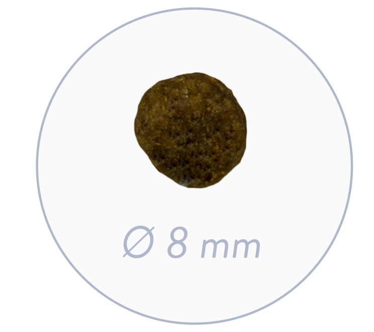 Bosch Puppy 7.5 kg ძაღლების საკვები