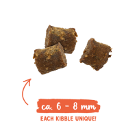 Bosch Sanabelle Juicy Salmon